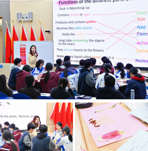 企业微信截图_20251216114128