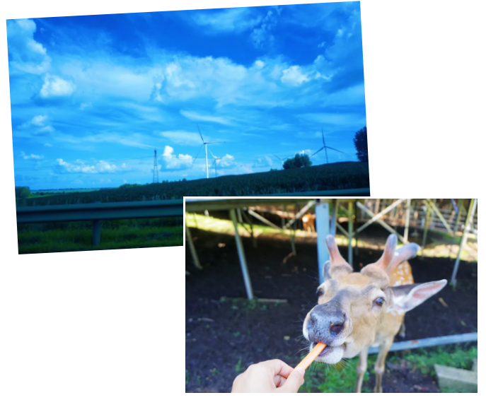 企业微信截图_20250728113102