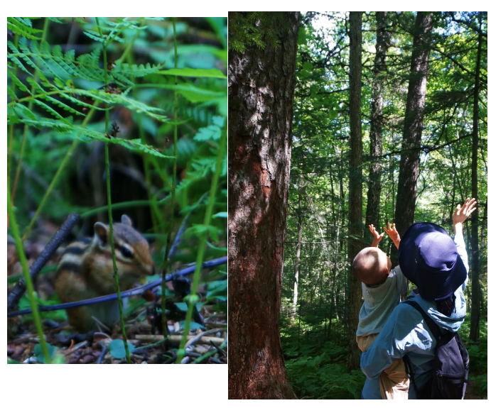 企业微信截图_20250728113055