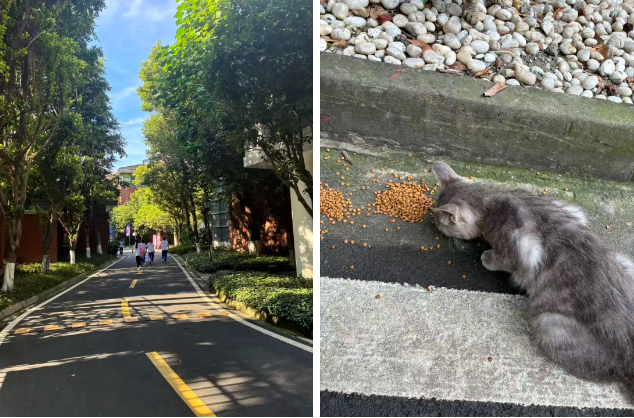 企业微信截图_20260130152739