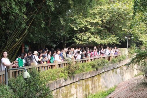 你真可爱，我能把你发到朋友圈吗？ ——小记我校高一年级熊猫基地参访