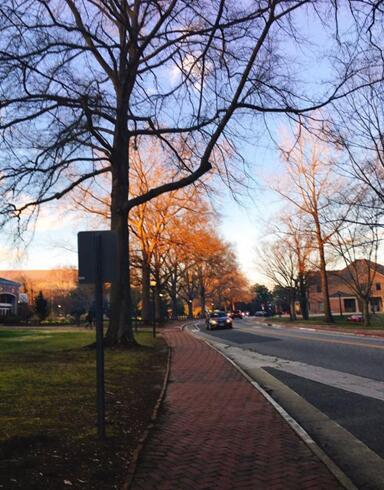 在美国母校就读是怎样一种体验？