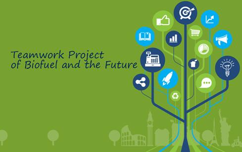 生物燃料与未来，国高学子探索能源领域新课题