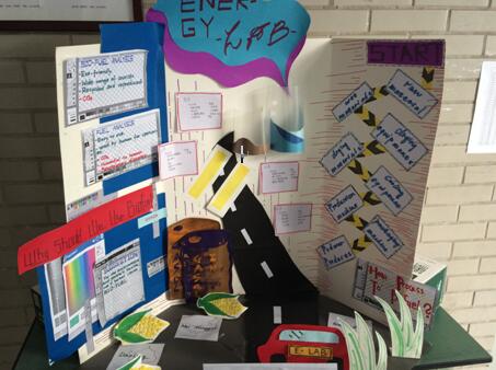 生物燃料与未来，国高学子探索能源领域新课题