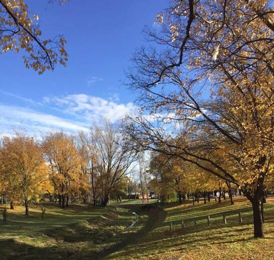 IFY成员大学有多牛？排名前一百只是起步而已！（上）