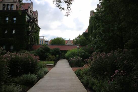 芝加哥大学暑校+全国亚军 这样的暑假是怎样炼成的？