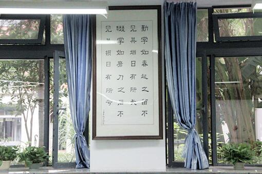 【教室美化】“没有美育就没有任何教育 ”，今天你发现美了吗？