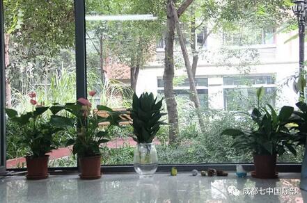 【教室美化】“没有美育就没有任何教育 ”，今天你发现美了吗？