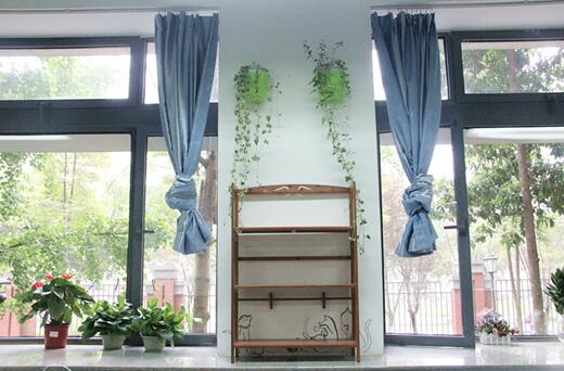 【教室美化】“没有美育就没有任何教育 ”，今天你发现美了吗？