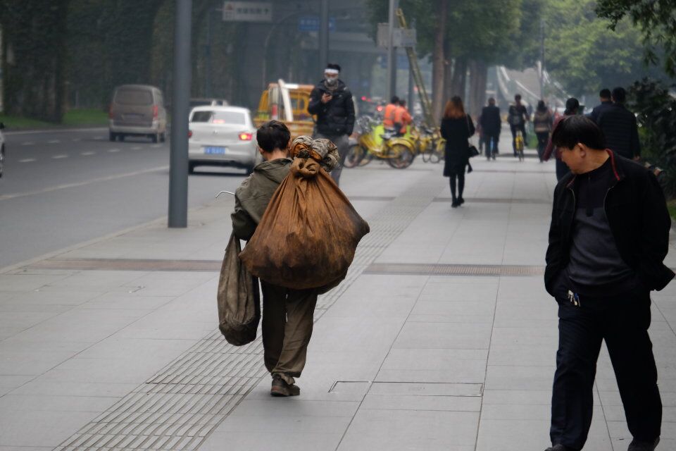 国际志愿人员日 | 辛苦了！城市的美容师！