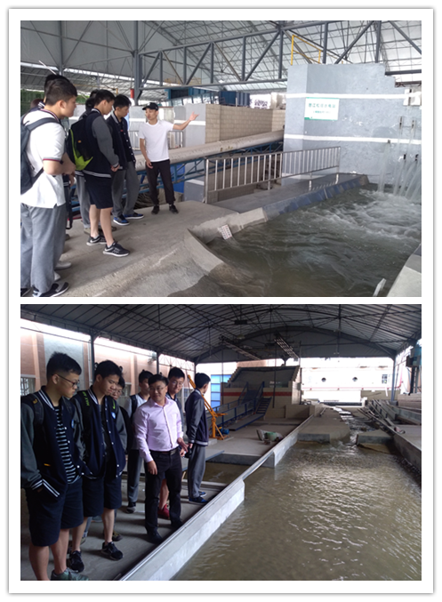 行走中的课堂——成都七中国际部“立志成才”研学活动顺利完成