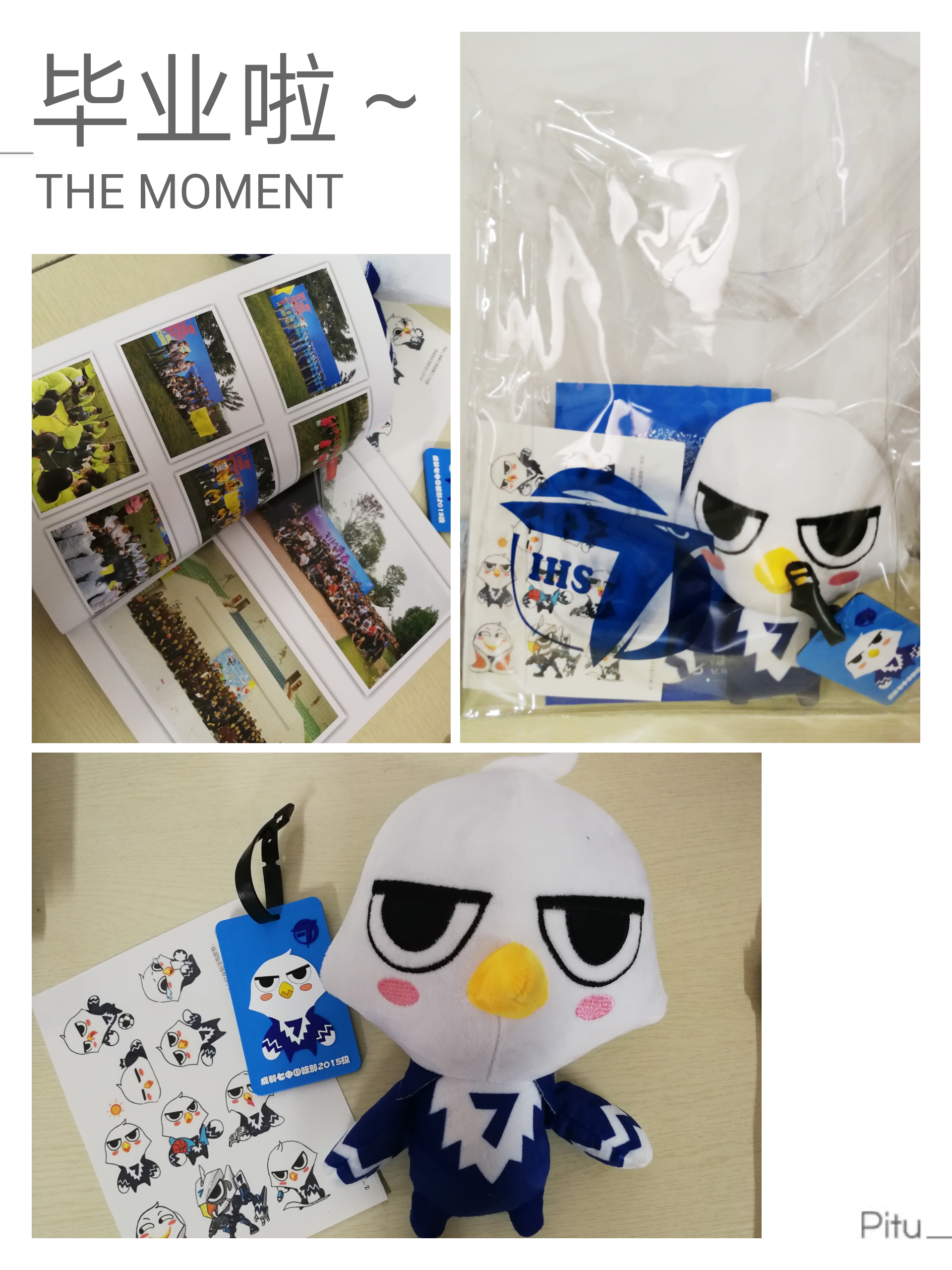 青春绽放，筑梦起航——成都七中国际部2018届毕业典礼圆满落幕！